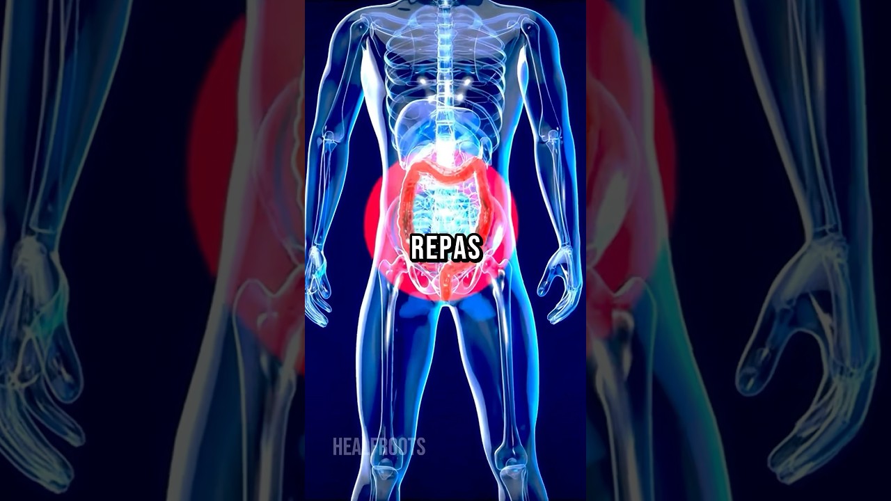 24h sans manger : les effets sur ton corps expliqués. ⏰
