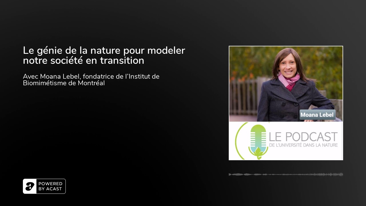 Le génie de la nature pour modeler notre société en transition
