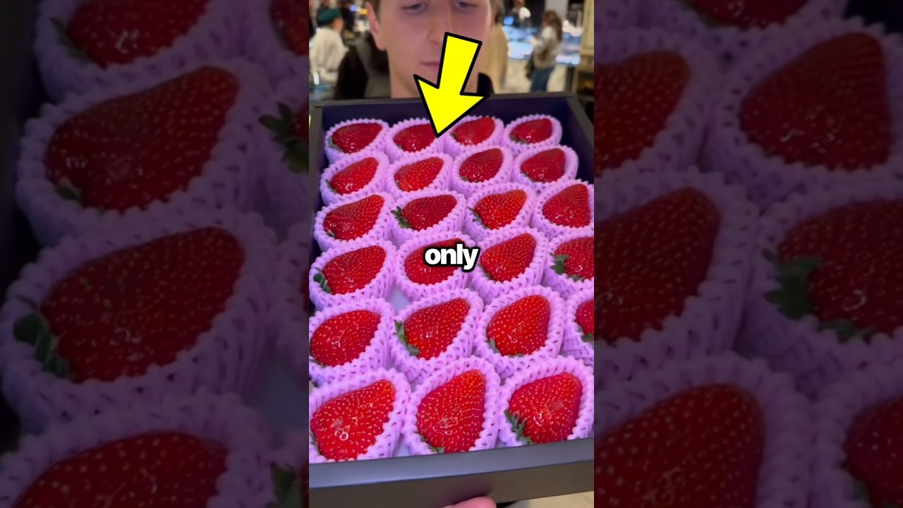3 Japanese Fruits So Expensive Only Billionaires Can Buy Them!