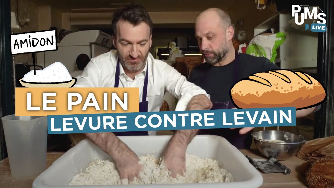 Diabète, cancer, maladie cardiovasculaire, santé en générale : le pain au levain est-il meilleur ?