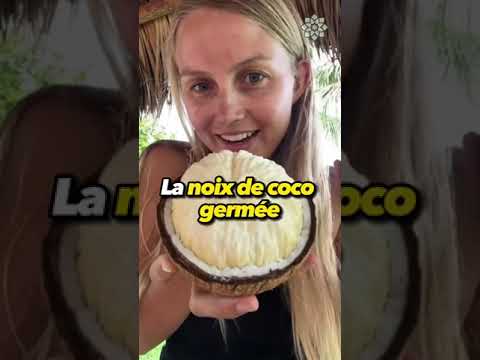 Étonnants fruits exotiques : découvrez les plus étranges du monde