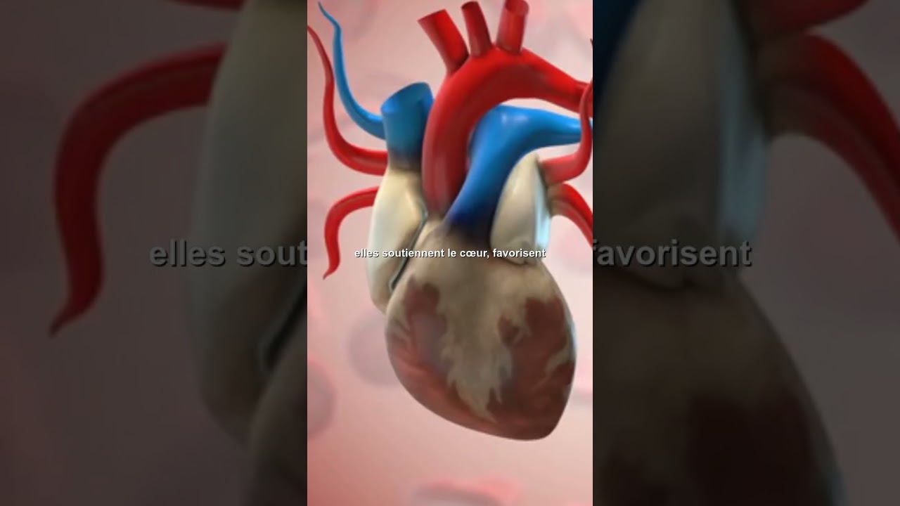 c'est quoi, les richesses du graines de lin #grainesdelin