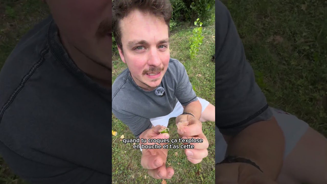 J’ouvre un Citron Caviar : l’Agrume le Plus Fou du Monde ! 😱 | Fruit Exotique Rare - Croissy Fruits