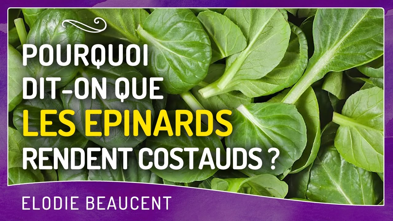 Pourquoi dit-on que LES EPINARDS rendent COSTAUDS ?