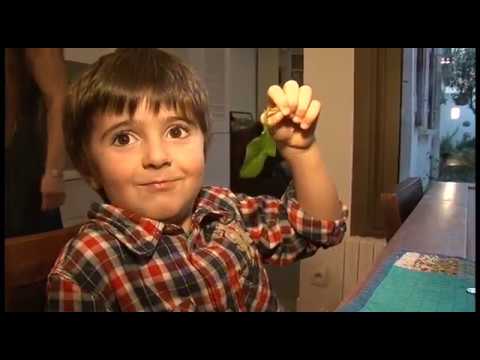 Salades : parfaites aussi l’hiver !